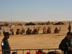 Festival du désert à Douz